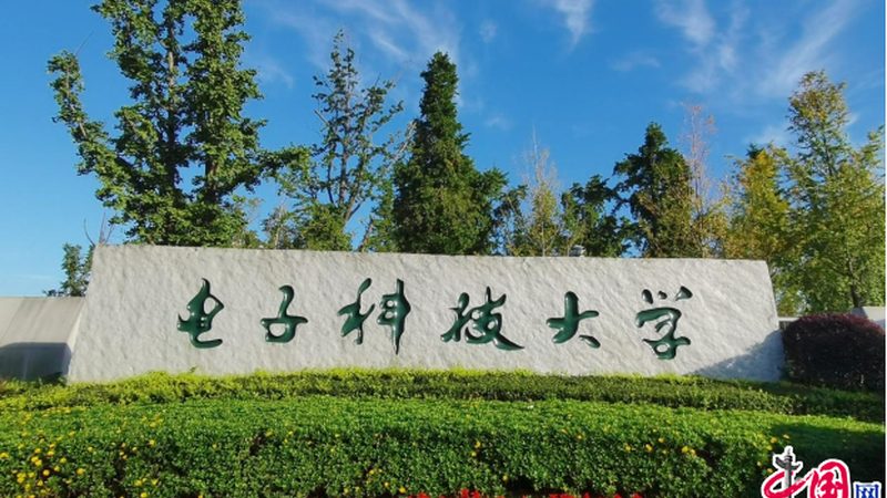 上海电子加工厂的崛起：揭秘电子制造的未来趋势
